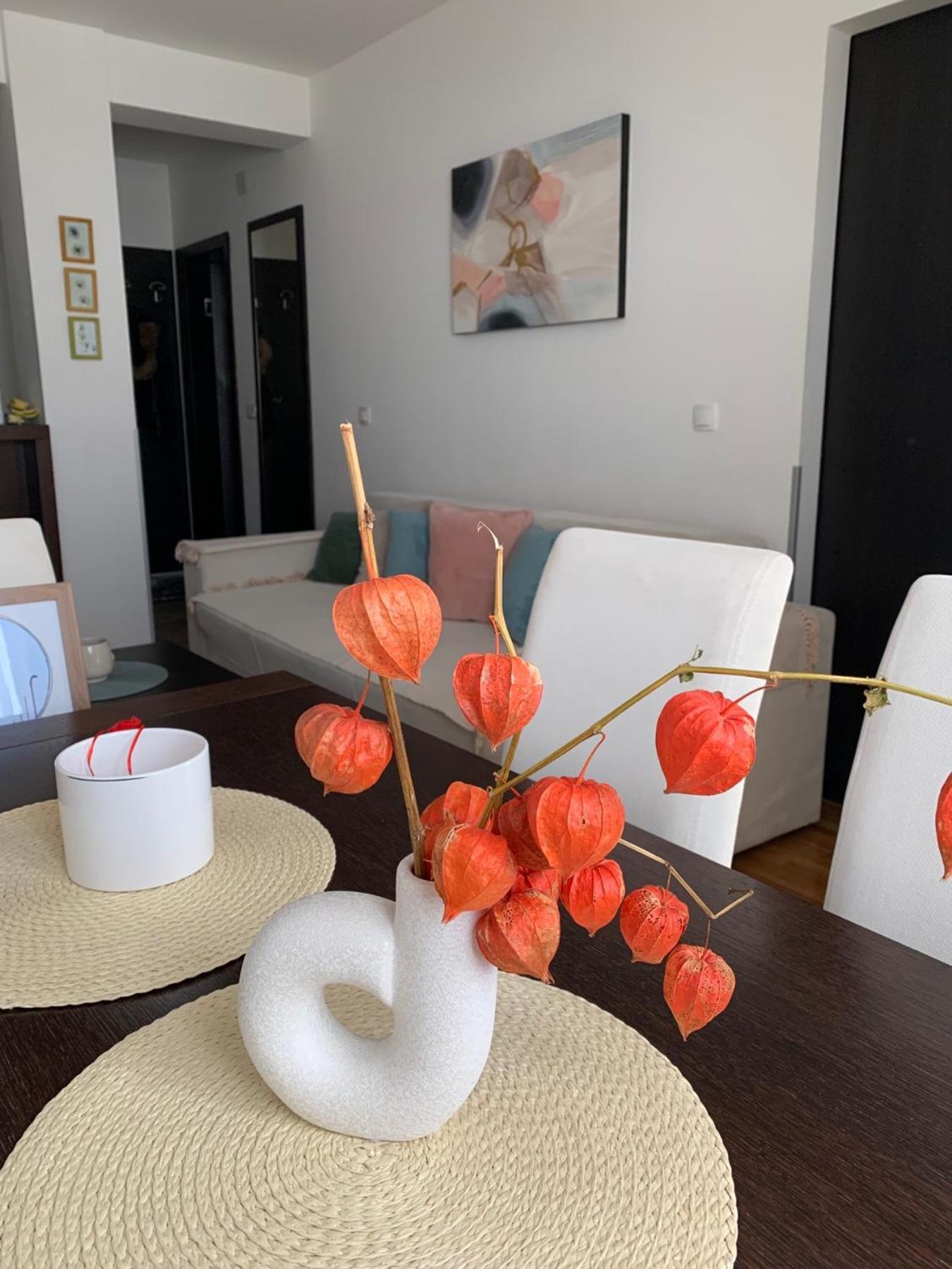 Beli Apartman U Zlatiborskim Konacima Bele Vode Bb 외부 사진